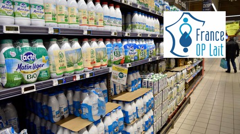 France OP lait craint la destruction de valeur par les négociations commerciales | Lait de Normandie... et d'ailleurs | Scoop.it