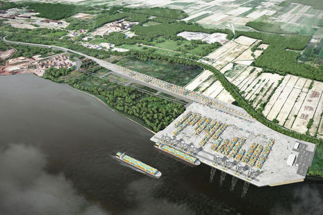 Terminal portuaire à Contrecœur | Le projet pourrait aller de l’avant malgré un décret sur le chevalier cuivré | Ils parlent de nous ! | Scoop.it