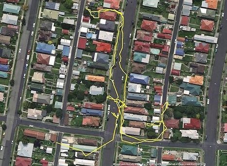 GPS tracks cats all night, Japanese internet shocked by the results: &ldquo;Do cats fly or something?&rdquo; | Notebook or My Personal Learning Network | Scoop.it