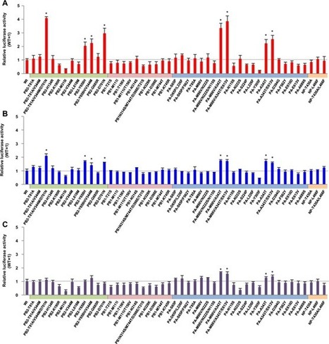 Multiple polymerase gene mutations for human adaptation occurring in Asian H5N1 influenza virus clinical isolates | Virology News | Scoop.it