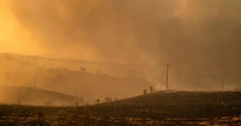 Forest fires in Greece continue to burn out of control - dpa international  | Agents of Behemoth | Scoop.it