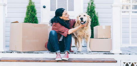 Pet Owners Want These Home Amenities | Best Florida Real Estate Scoops | Scoop.it