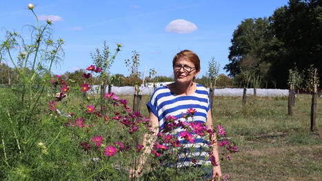 La Ferme d&rsquo;aventure de Laval met en vente ses tout premiers paniers de l&eacute;gumes - Ouest France [Abonn&eacute;s] | Agriculture et communication positive | Scoop.it