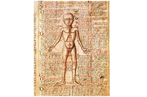 9 weird medieval medicines | Year 7: the Middle Ages | Scoop.it