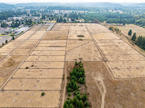 Centralia mayor, councilors call for closure of WDFW-operated game farm | Industry 411 - Waste Management | Scoop.it