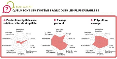 "Pas d'agriculture durable sans élevage" | Lait de Normandie... et d'ailleurs | Scoop.it
