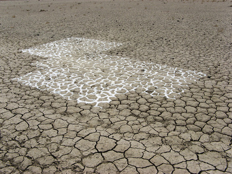 Hugo Exbrayat, zarza 2000 | L&rsquo;actu des zarzas | Scoop.it