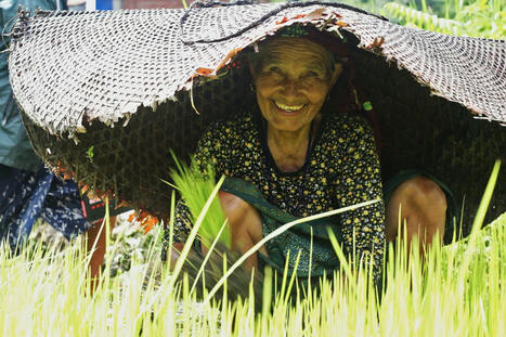 Indigenous knowledge & agroecology must be at the center of food system transformation | Questions de développement ... | Scoop.it