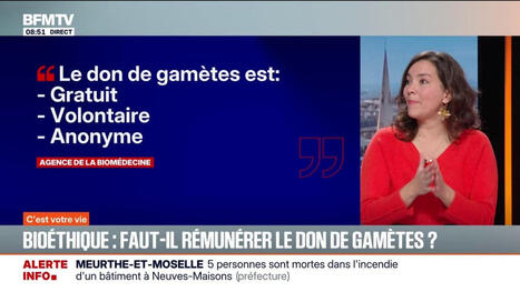 Bio&eacute;thique: faut-il r&eacute;mun&eacute;rer le don de gam&egrave;tes en France? | Bio&eacute;thique & Procr&eacute;ation | Scoop.it