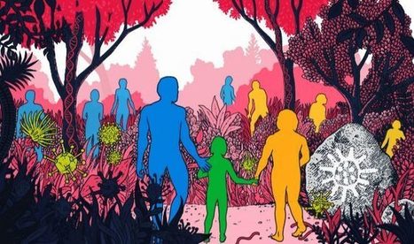 Los genes neandertales que protegieron a los 'sapiens' frente a los virus&nbsp; | I didn't know it was impossible.. and I did it :-) - No sabia que era imposible.. y lo hice :-) | Scoop.it