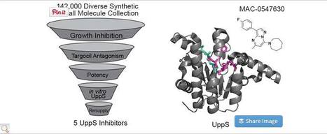 A Small-Molecule Screening Platform for the Discovery of Inhibitors of Undecaprenyl Diphosphate Synthase - ACS Infectious Diseases (ACS Publications) | Daily Newspaper | Scoop.it