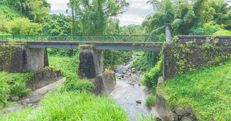 Martinique : des mesures de gestion de l'eau prises pour faire face à la crise liée à la sécheresse | Biodiversité : les chiffres-clés | Scoop.it