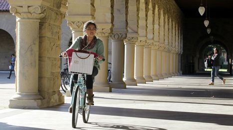 A Stanford dean on adult skills every 18-year-old should have | The Student Voice | Scoop.it