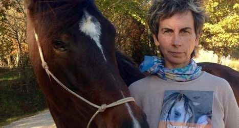 Un livre qui renoue le lien entre cheval et cavalier | Salon du Cheval | Scoop.it