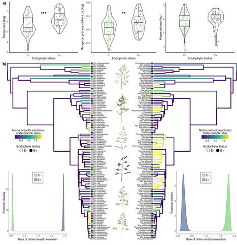 Mutualistic microbes linked to broader niches but reduced diversification | Ncm | RMH | Scoop.it
