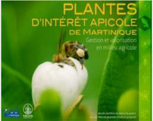 Plantes d’intérêt apicole de Martinique : gestion et valorisation en milieu agricole - Ecophytopic | Biodiversité | Scoop.it