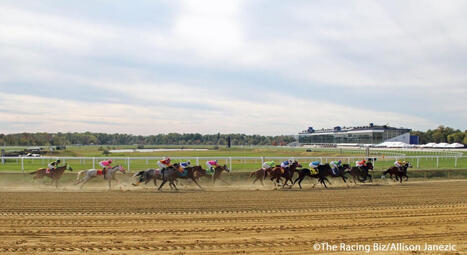 Midlantic news briefs: Laurel expels Gonzalez * | Racing Regulatory Issues | Scoop.it