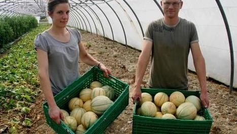 Pesticides : apr&egrave;s &laquo;Cash Investigation&raquo;, des agriculteurs d&eacute;noncent | Home | Scoop.it