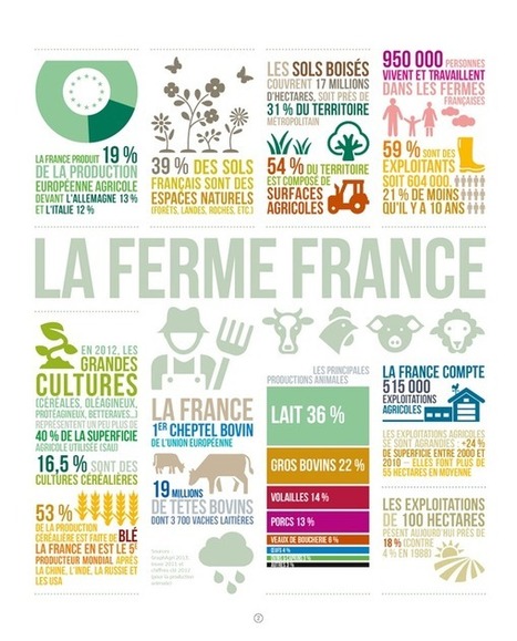 Tweet from @Min_Agriculture | Actualit&eacute;s de l'&eacute;levage | Scoop.it