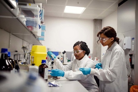 Minority scientists still face many forms of institutional racism- New Scientist Article | Race and diversity | Scoop.it