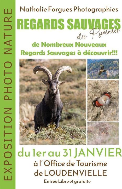 Exposition de photos à Loudenvielle jusqu'au 31 janvier | Vallées d'Aure & Louron - Pyrénées | Scoop.it