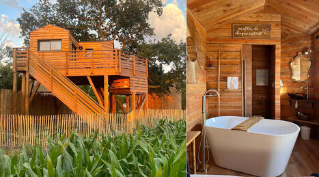 On a testé (et adoré !) ces cabanes insolites et cosy avec bain nordique privatif à deux pas du Puy du Fou – | Les evolutions de l'offre touristique | Scoop.it