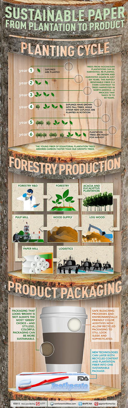 Sustainable Paper from Plantation to Product | World's Best Infographics | Scoop.it