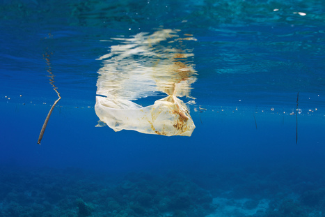 New Study Shows Plastic in Oceans Is on the Rise | Coastal Restoration | Scoop.it