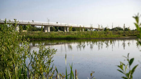 Saclay, une ville sinon rien ? | Architecture - Construction | Scoop.it