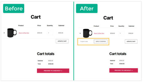 8 Ways eCommerce Websites Can Use Coupon Codes to Increase ROI | Pay Per Click, Lead Generation, and Search Engine Marketing | Scoop.it