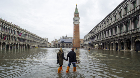 Venice is not added to UNESCO World Heritage in Danger list | Art, Gallery, Auction and Museum: Law and Business | Scoop.it