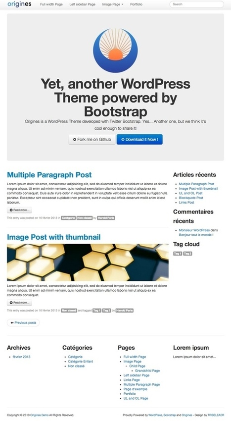 Origines, un Theme WordPress propulsé par Bootstrap - TRIBELEADR | Wordpress templates | Scoop.it