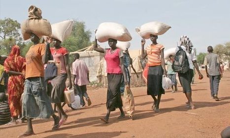 Insécurité alimentaire en Afrique de l’Est et Centrale : Près de 20 millions de personnes en situation «aiguë» - LE MATIN.ma | décroissance | Scoop.it