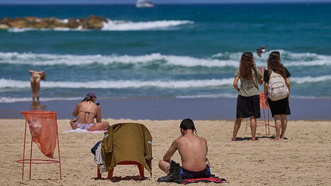 La bact&eacute;rie carnivore menace les plages europ&eacute;ennes, port&eacute;e par le changement climatique | Euronews | Toxique, soyons vigilant ! | Scoop.it