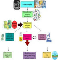 Bioremediation of heavy metals from electronic waste dumping sites with bacteria | Cin | RMH | Scoop.it