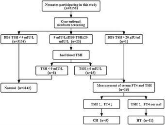 Combined genetic screening and traditional newborn screening to improve the screening efficiency of congenital hypothyroidism | dépistage néonatal | Scoop.it