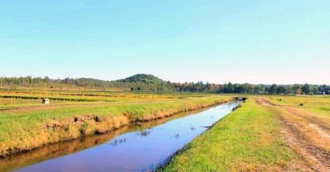 Judge Invalidates Western Wisconsin Sand Mine Permits For Meteor Timber | Timberland Investment | Scoop.it