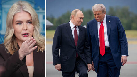 Leavitts utspel inför Trump och Putins möte: ”Din mamma” | 1Uutiset - Lukemisen tähden | Scoop.it