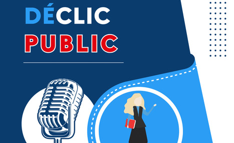 Podcast Déclic Public « Conservatrice à la BnF » | Bulletin des bibliothèques de France | Veille pour les concours des bibliothèques | Scoop.it