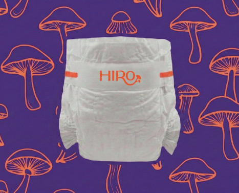 Plastic-eating fungi dig diapers | Nbt | RMH | Scoop.it