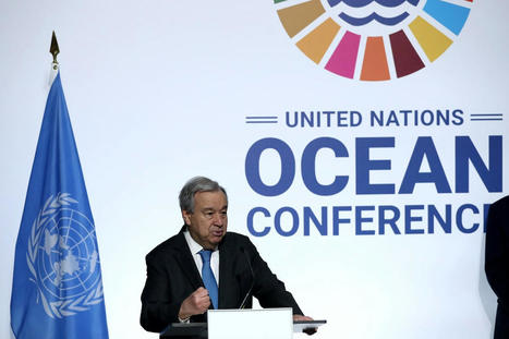 UN Chief Declares ‘Ocean Emergency’ on First Day of Global Conference - EcoWatch.com | Agents of Behemoth | Scoop.it