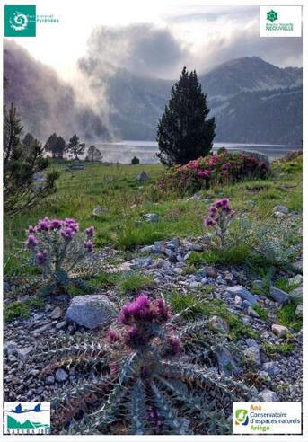 CONFERENCE SUR LES CONSEQUENCES DU CHANGEMENT CLIMATIQUE SUR LA RESERVE NATURELLE DU NEOUVIELLE &agrave; Saint-Lary Soulan le 25 ao&ucirc;t | Vall&eacute;es d'Aure & Louron - Pyr&eacute;n&eacute;es | Scoop.it