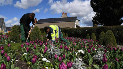 Angers. Un nouvel espace vert va éclore dans le quartier du Grand-Pigeon | L'actualité des quartiers politique de la ville de Bretagne et Pays de la Loire | Scoop.it