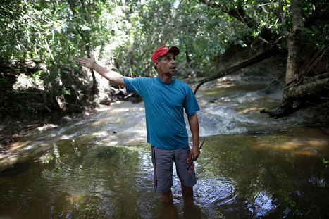 Appetite for Destruction: Brazil’s soy boom devours tropical savanna | GTAV AC:G Y9 - Biomes and food security | Scoop.it