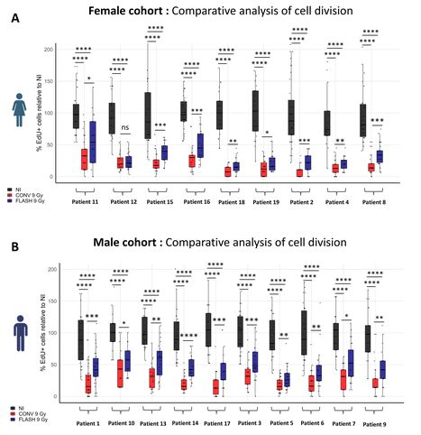 Une première évaluation des effets de l’irradiation FLASH sur des échantillons de patients | Life Sciences Université Paris-Saclay | Scoop.it