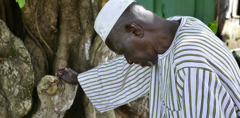 &laquo;&nbsp;L&rsquo;homme qui arr&ecirc;ta le d&eacute;sert&nbsp;&raquo;, une&nbsp;inspiration pour habiter autrement la Terre - The Conversation | Pour innover en agriculture | Scoop.it