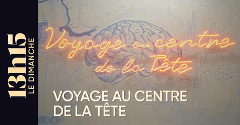Voyage au centre de la t&ecirc;te | Science & Transhumanisme | Scoop.it
