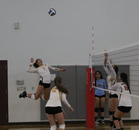 Girls volleyball: Mountain View, Los Altos meet Thursday in big SCVAL De Anza match – Varsity Extra | Chanti Holroyd | Scoop.it