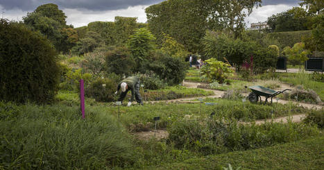 Climat : dans les jardins botaniques français, « chaque goutte d’eau compte » | Les Colocs du jardin | Scoop.it