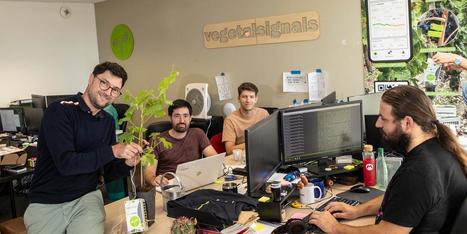 &nbsp;Gironde : Vegetal Signals &agrave; la recherche de 3 millions d'euros de financement | Les &eacute;co-activit&eacute;s en Gironde | Scoop.it